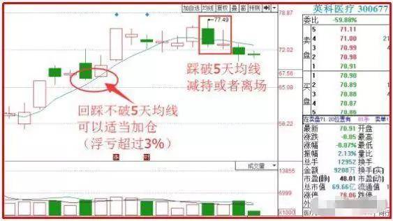 澳门天天开彩期期精准单双,完整机制评估_影像版80.730