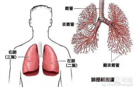 肺癌晚期最新治疗方案，希望与挑战同在