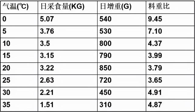 新澳好彩免费资料查询2024_效率资料解剖落实_尊贵版68.147.16.3