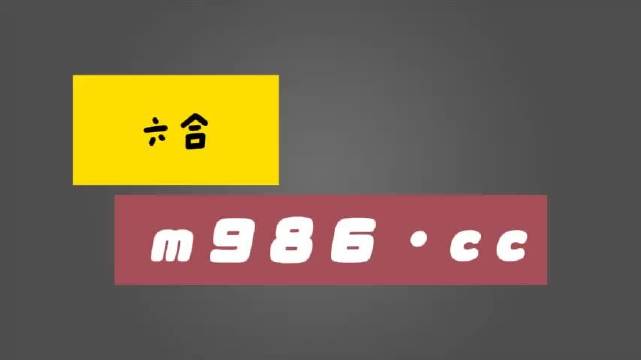 白小姐一肖一码2024年,经验解答解释落实_Q59.633