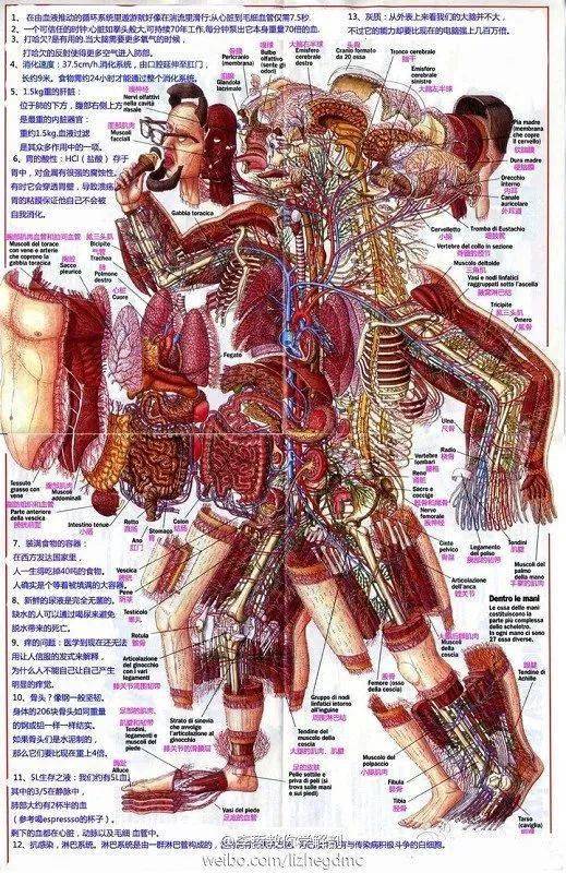 全年资料免费大全资料打开_绝对经典解剖落实_尊贵版41.254.172.96