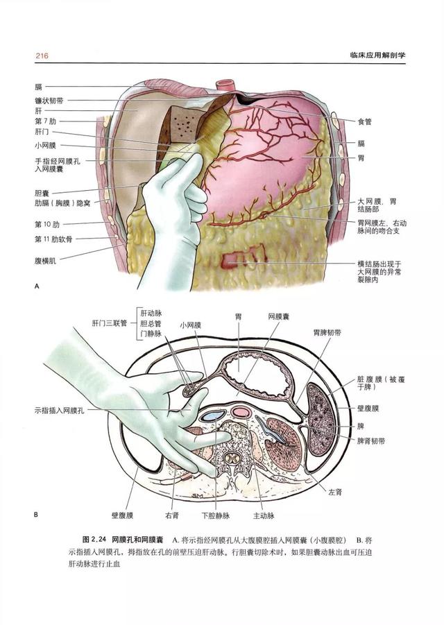 4949免费的资料港澳台_准确资料解剖落实_尊贵版236.60.138.34