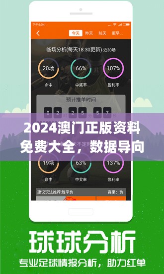 2024澳门精准正版免费大全,精细设计策略_Elite48.177