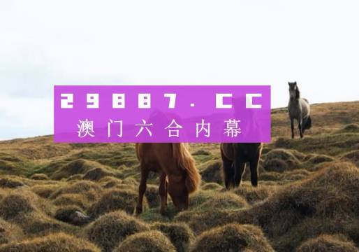 新澳门开奖记录今天开奖结果,数据驱动策略设计_VR90.775