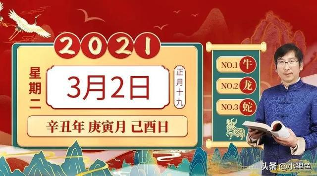 2024年香港今晚特马,具体实施指导_VR版66.983