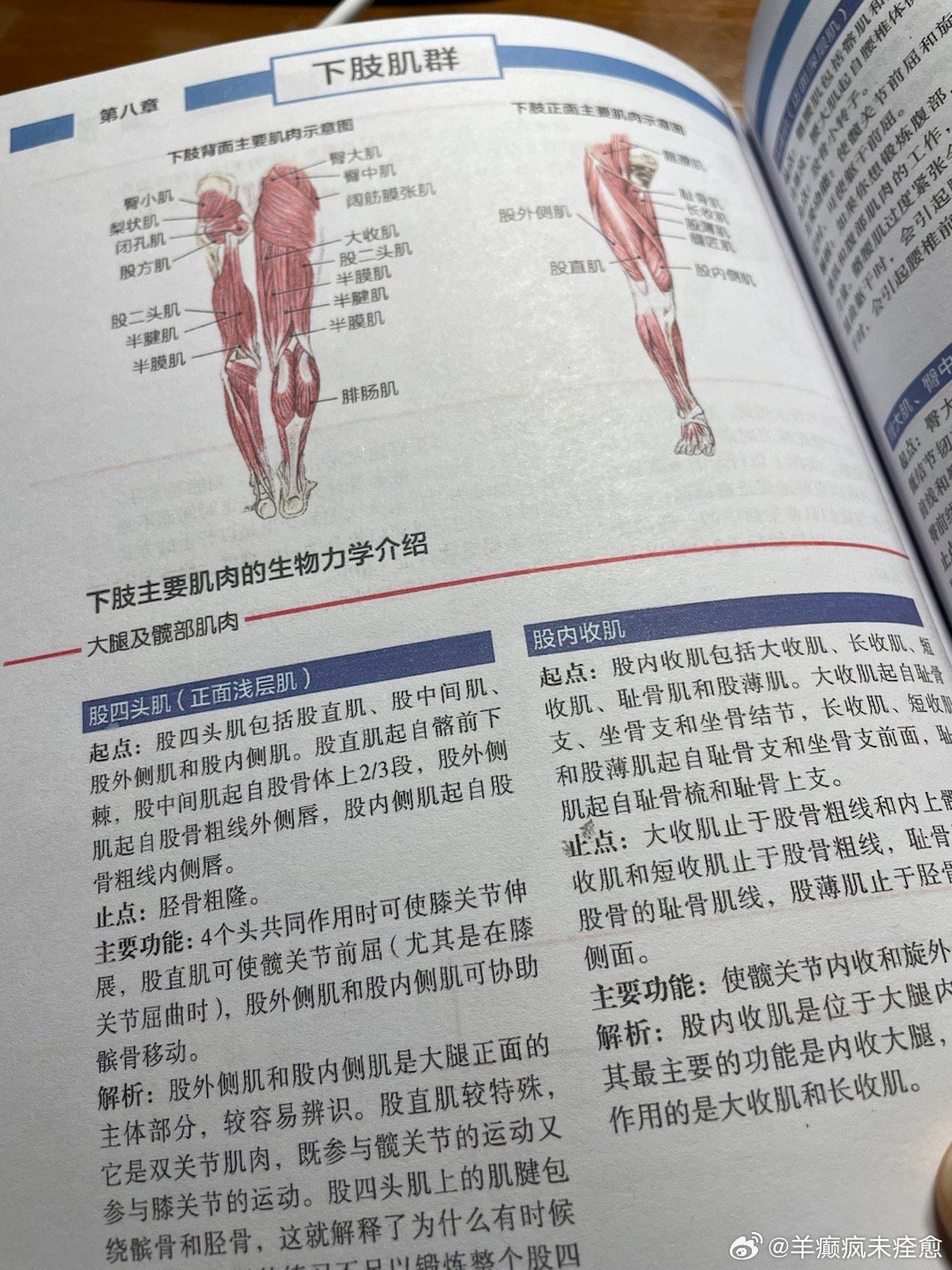 正版免费全年资料大全2012年_时代资料解剖落实_尊贵版58.9.253.250