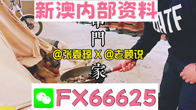 澳门管家婆免费资料查询_理解落实_数据资料_VS196.251.191.178