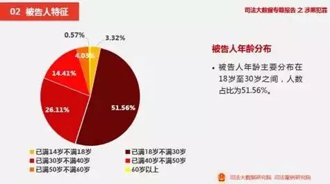 数据资料 第11页