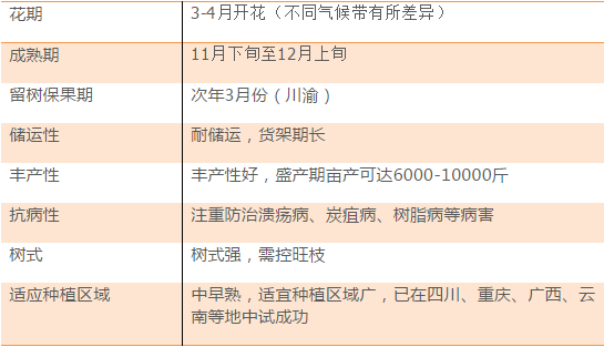 2024今晚澳门开什么号码_核心解析_效率资料_VS194.224.166.98