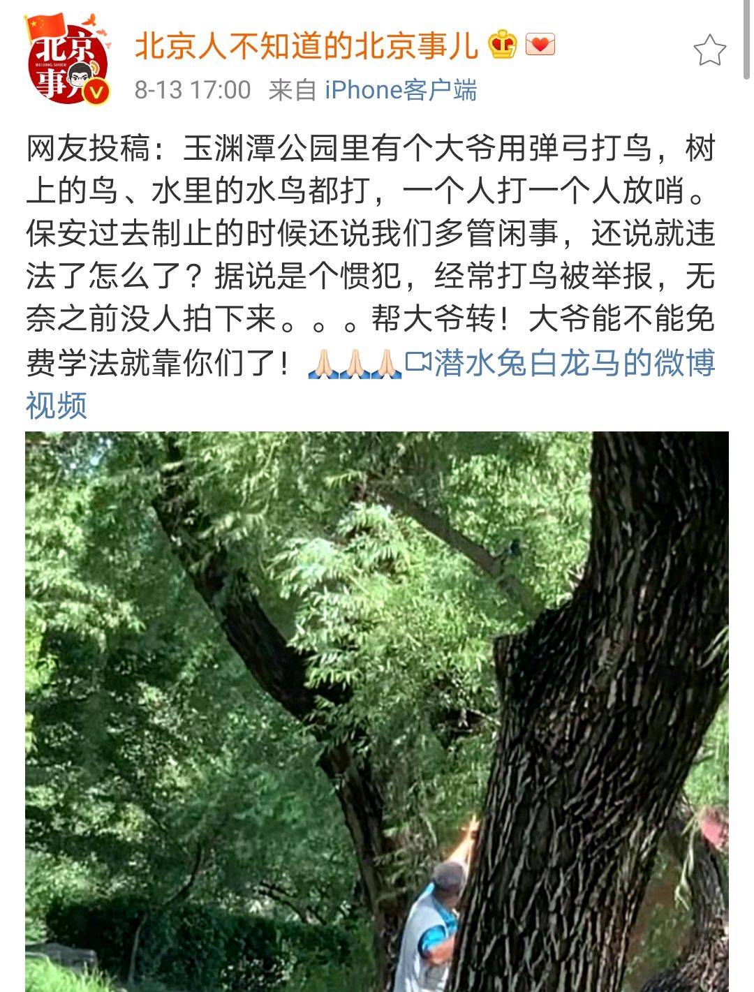 弹弓技艺与责任交织，最新打鸟视频观察