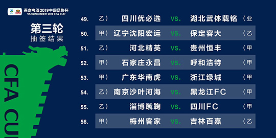 2024年澳门今晚必开一肖,综合评估解析说明_VIP49.953