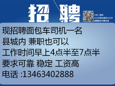 高州最新司机招聘信息全面解析