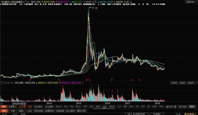 龙洲股份股票最新动态全面解读