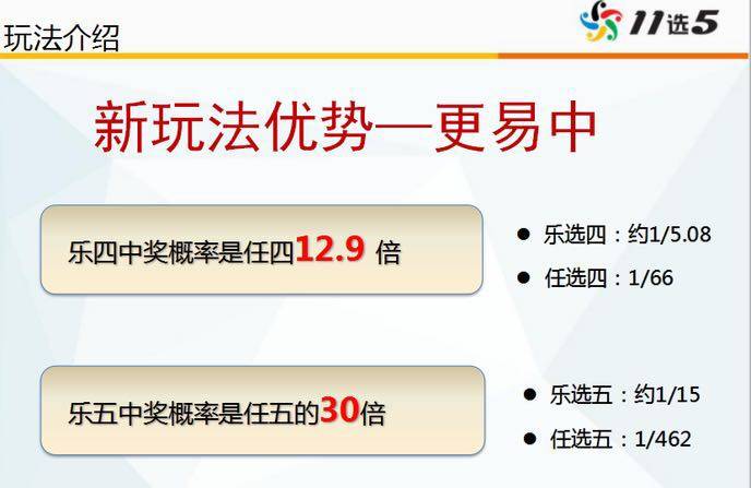 11选5高招攻略，深度解析策略与技巧