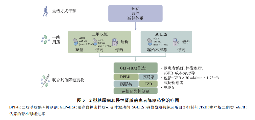 尿毒症治疗最新进展概览