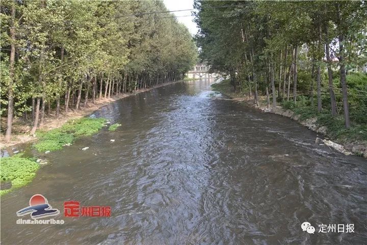 定州清水河村最新动态报道