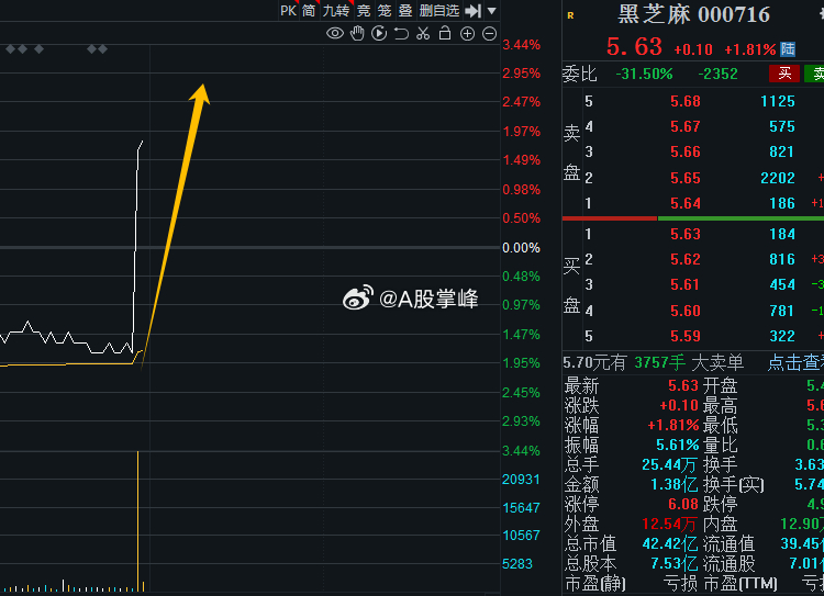 黑芝麻股票最新动态报告