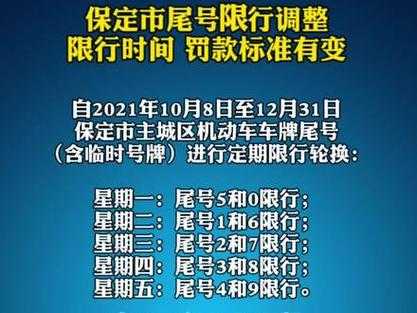 雄县限号措施最新动态，聚焦未来变化与挑战，展望2024年展望